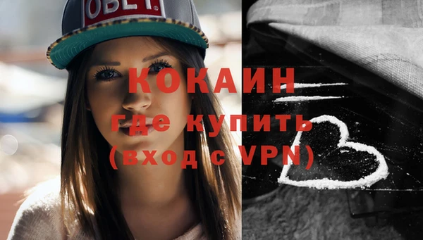 прущие грибы Вязьма