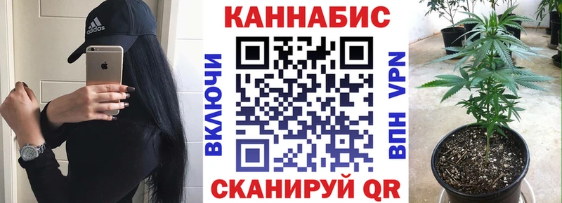 Канабис планчик  магазин  наркотиков  Стародуб 